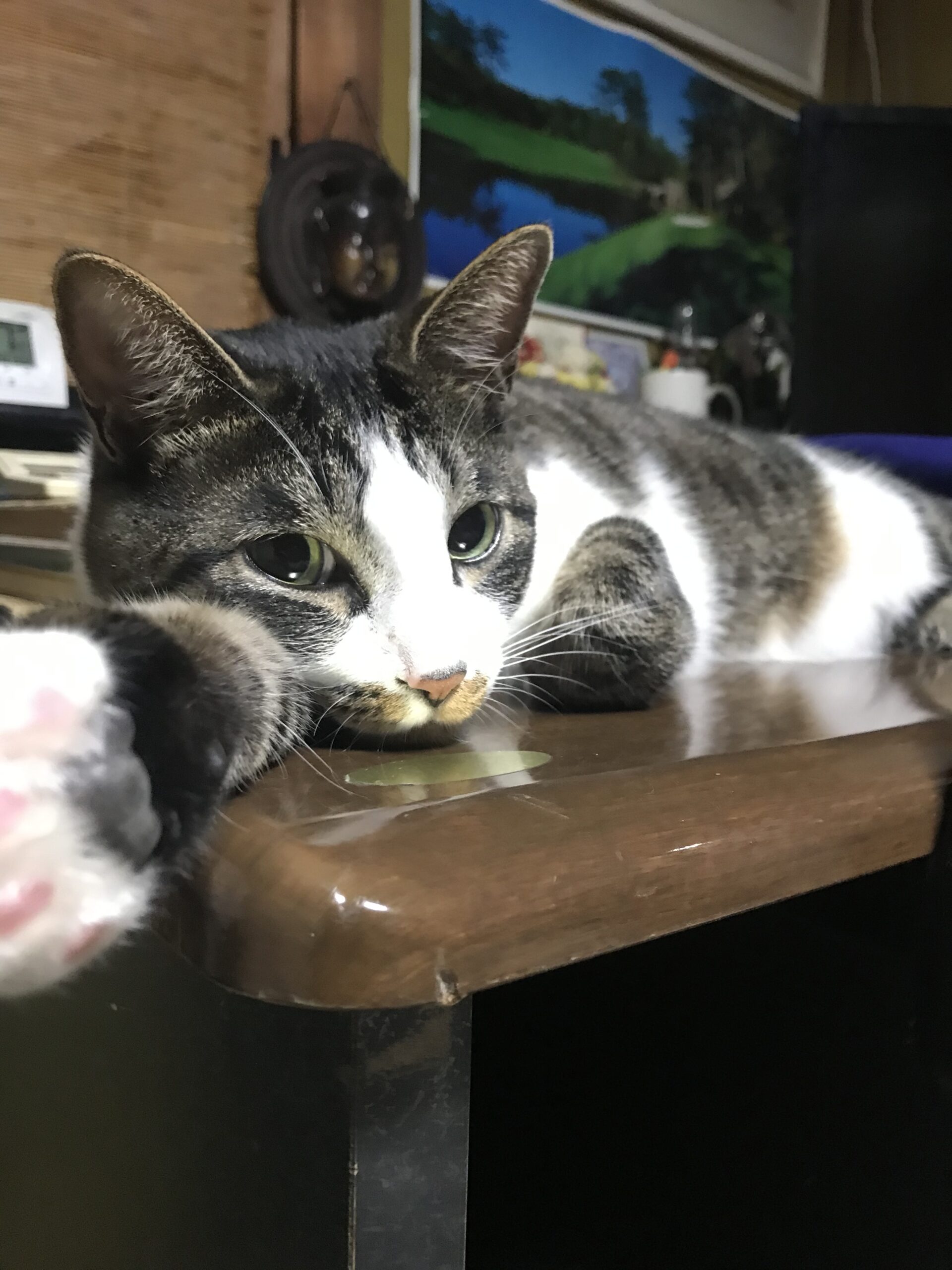 じじ