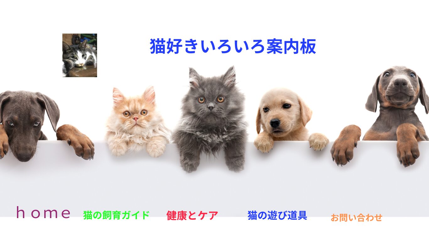 猫のいる生活　癒しと笑顔の日々