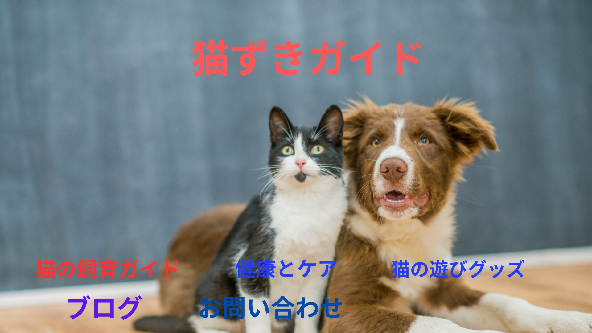 猫のいる生活　癒しと笑顔の日々