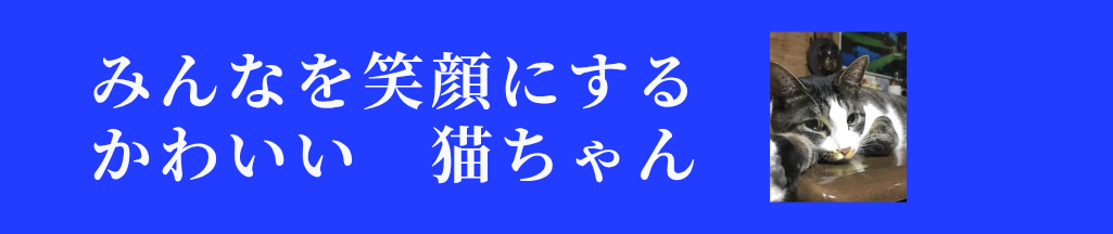 猫との暮らしを楽しく　もっと幸せに